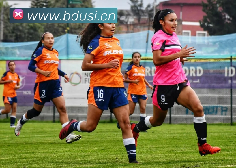 多媒体互动体验